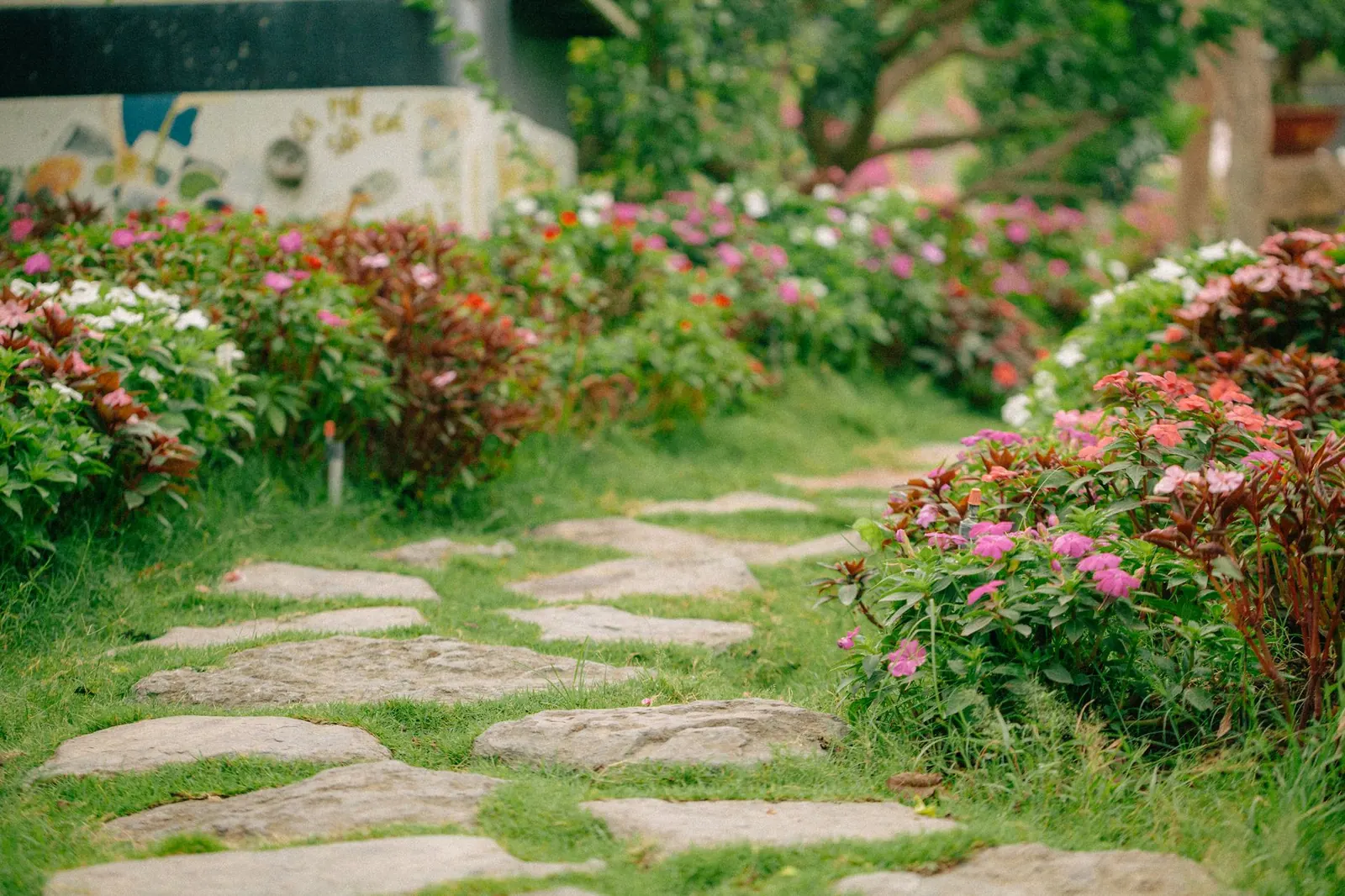 Landscape Design Basics for Homeowners