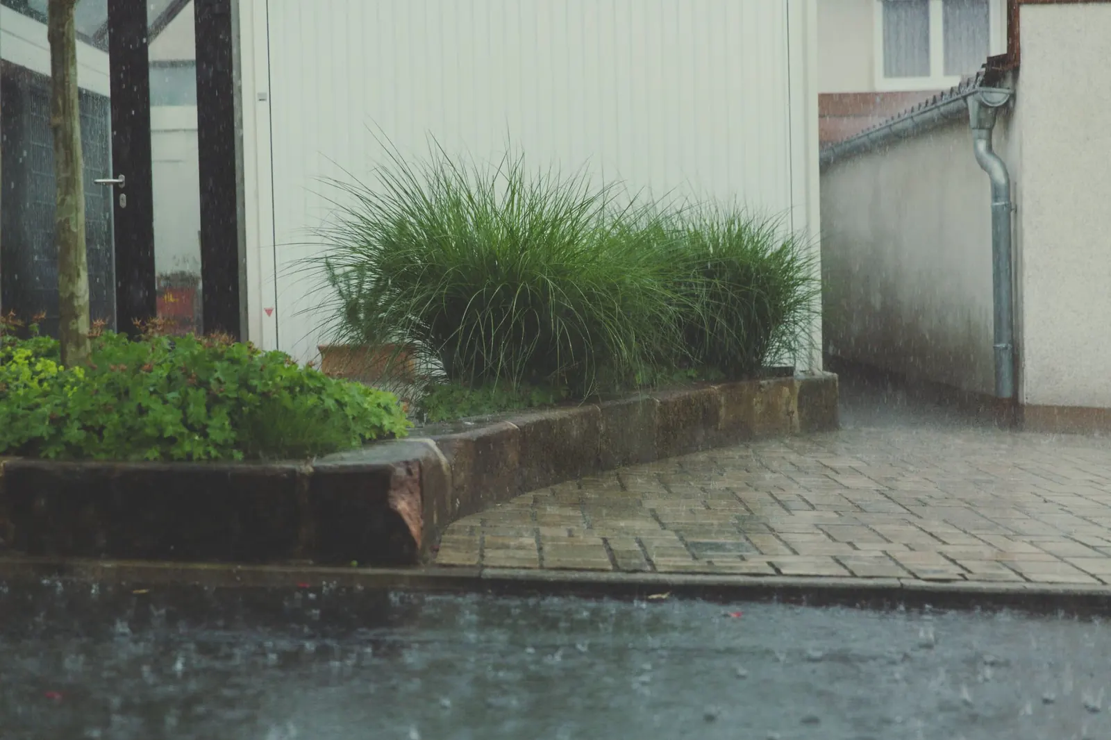 Rain Gardens for Homeowners: Turning Runoff Into a Garden