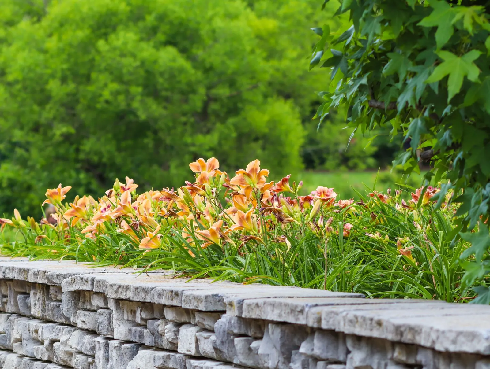 Retaining Walls: When DIY Works and When to Hire a Pro